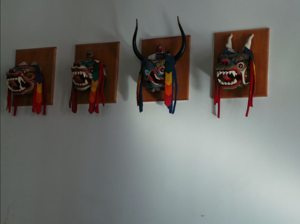 Tashi Namgay Resort06